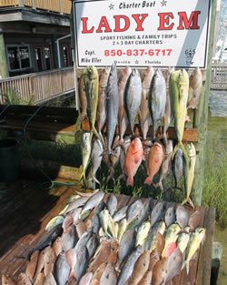 Destin Fishing Trips